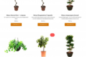 Интернет-магазин