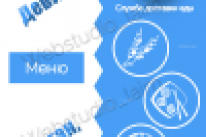 Работа 3123154