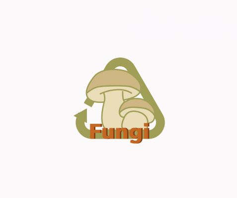 img4391724.png