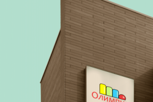 Фирменный стиль для детского центра