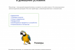 Статья о попугаях