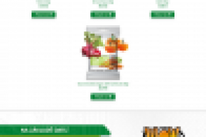 LANDING PAGE "PHARMIND"