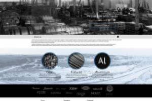 Корпоративный сайт, Сайт визитка