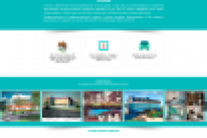 Корпоративный сайт, Интернет-магазин