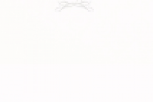 Работа 2457305