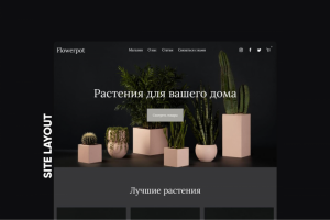 Растения для вашего дома