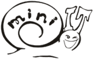 Mini IT
