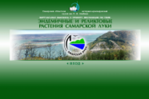 Сайт-выставка для музея им. Алабина