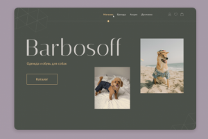 Одежда и обувь для собак