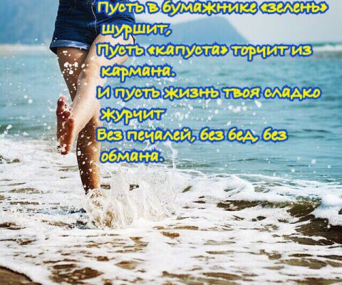 img3363699.png