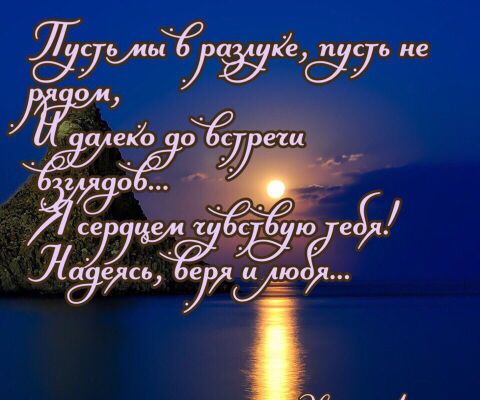 img3363691.png