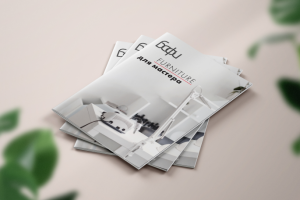 Разработка каталога для профессиональной меьели