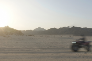 Работа 3798472