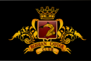 Работа 2227287