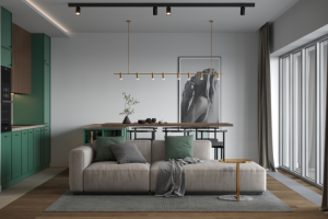 гостиная-кухня