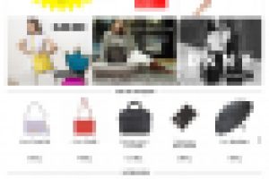 Пан Чемодан