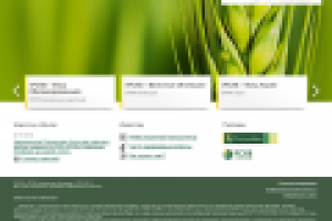 РСХБ Управление активами