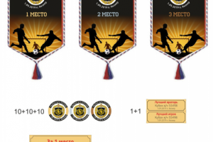 Наградная продукция