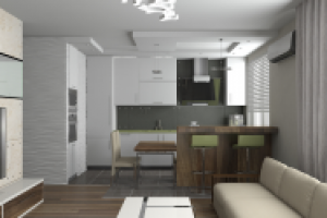 Кухня - гостиная