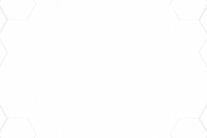 Бланк компании "SUNMI"