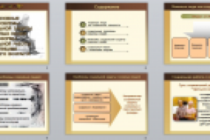 Основные проблемы социальной защиты пожилых людей