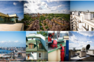 Алтес (файлы)