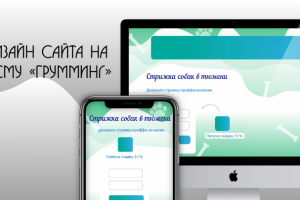 Дизайн сайта на тему "Грумминг"