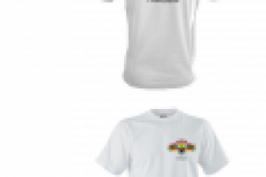 Работа 2904316