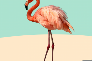 flamingos