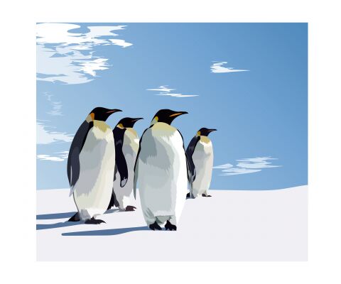 img4227161.png