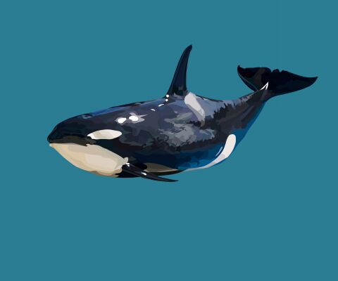 img4225235.png