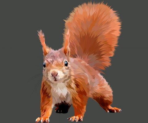 img4225147.png