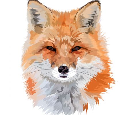 img4224388.png