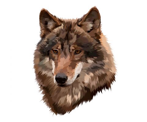 img4223813.png