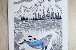 Иллюстрация