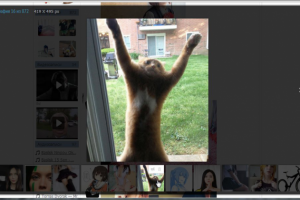 Фотоальбом