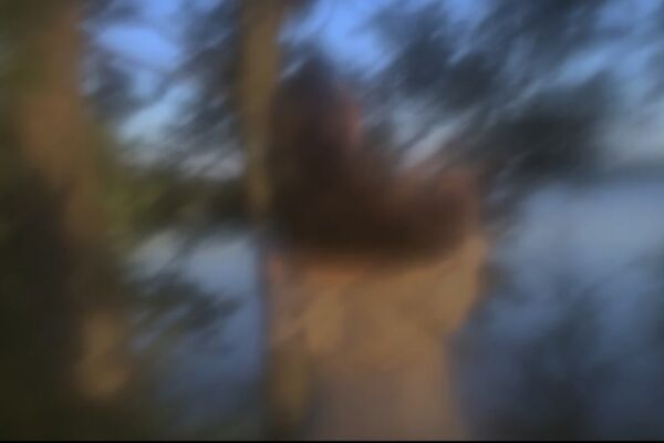 img4036789.png