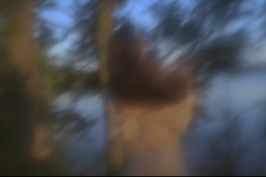 Красота изнутри