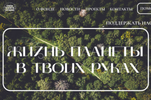 Дизайн сайта благотворительного фонда