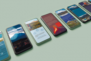 Презентация