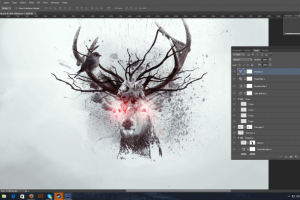 Фотография. Ретушь/коллаж