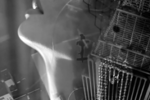 Бренд Одежды