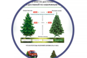 Продажа новогодних елей
