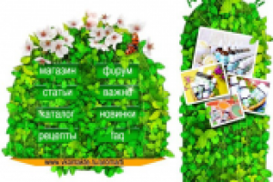 Оформление Соц сети