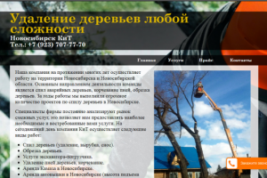 Сайт компании по Спилу аварийных деревьев.