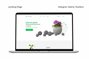 САЙТ ДЛЯ ИНТЕРНЕТ МАГАЗИНА ЦВЕТОВ "LIFE PLANTS"