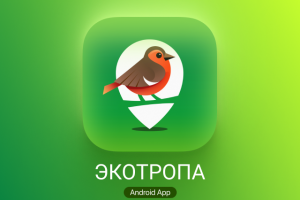 Логотип и иконка приложения