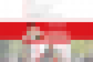 Ведущий лэндинг