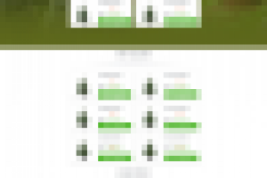 Елки лэндинг