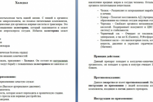 Препарат "Холедол"